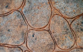 Stamped concrete - one of several types of decorative concrete.